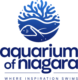 Aquarium of Niagara